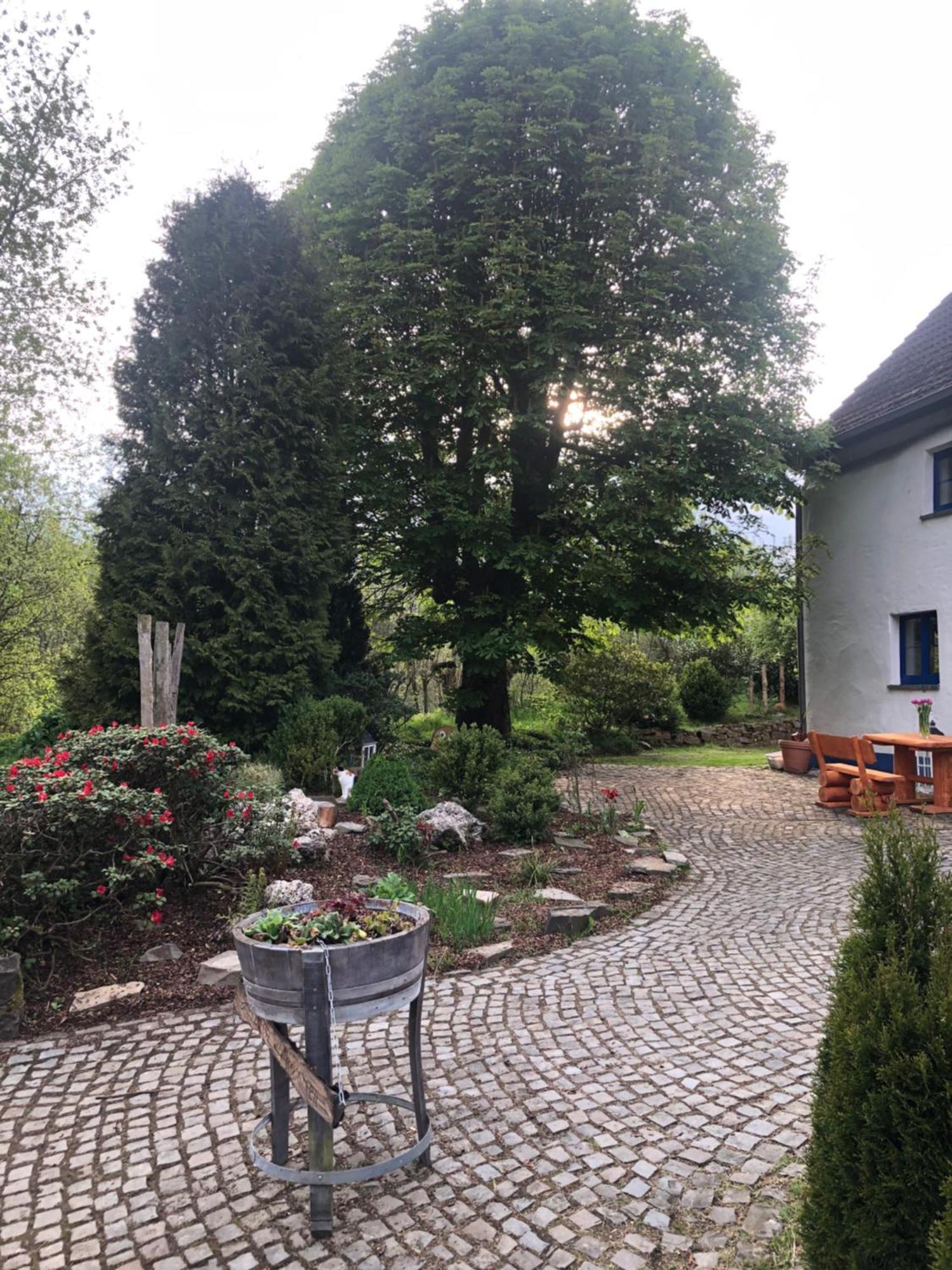 Urlaub In Der Natur Lüdenscheid Eksteriør bilde